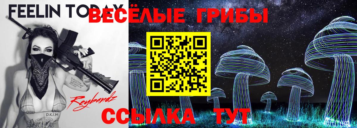 Псилоцибиновые грибы GOLDEN TEACHER  Вход с VPN  Выборг 