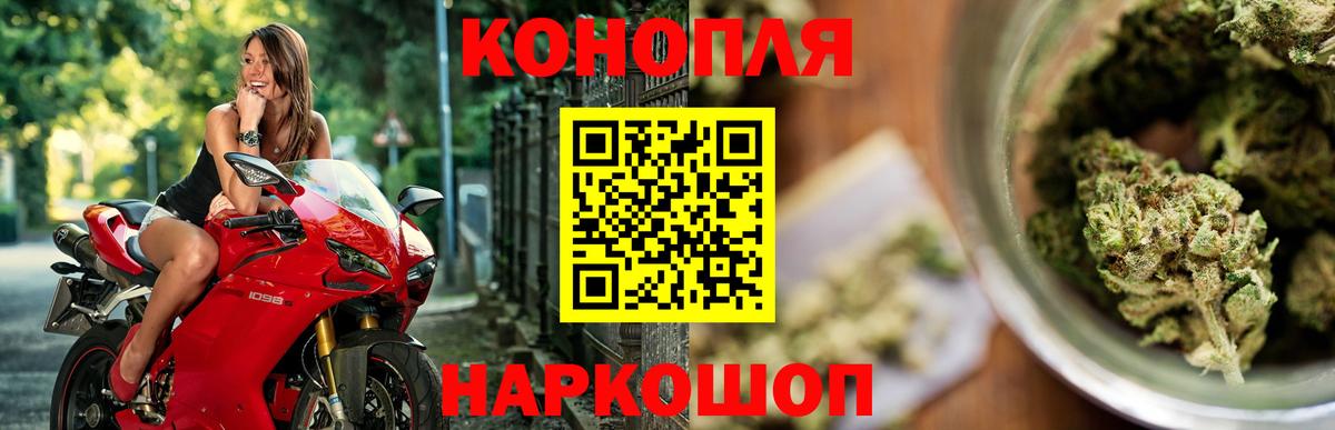 Марихуана план  Шишки марихуана тримм  Выборг  Вход с VPN  Бошки марихуана индика 